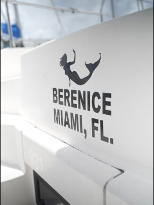 Berenice-logo Berenice-logo